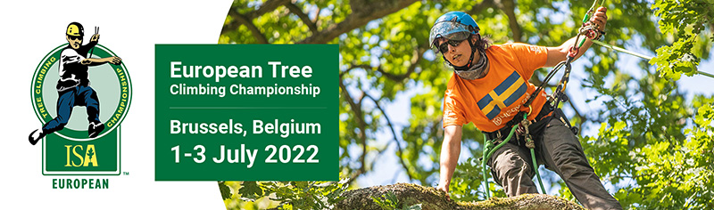 International Tree Climbing Championships